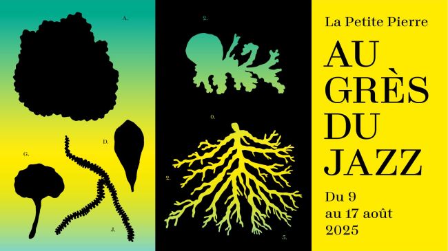 Concert de Gabi Hartmann - Festival au Grès du jazz de la Petite-Pierre