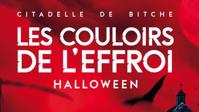 Die Gänge des Grauens 2025: Halloween in der Zitadelle von Bitche