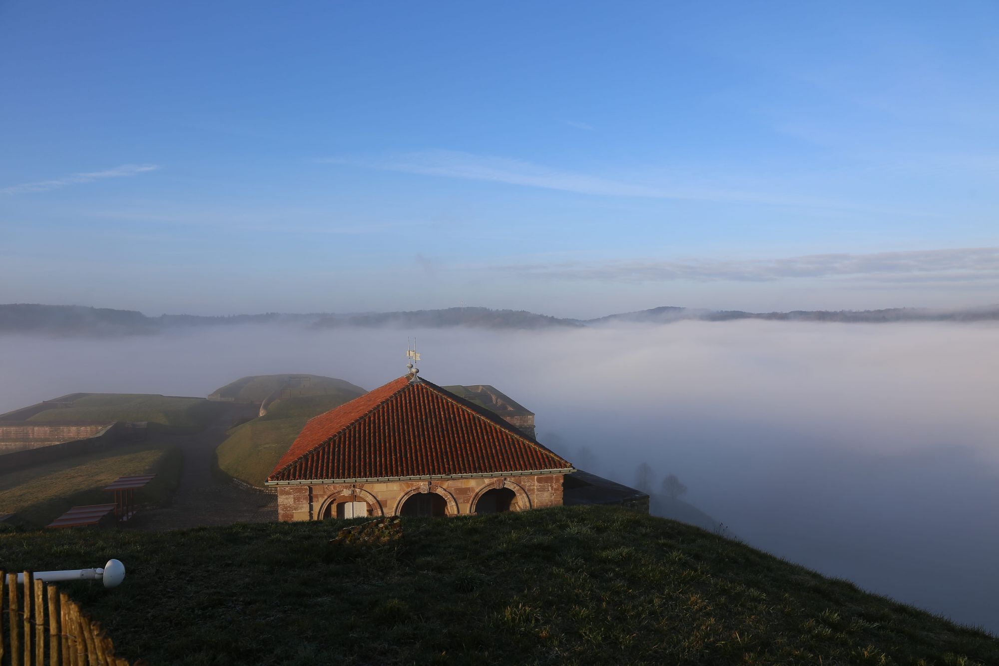 Citadelle 2014 Faul (3)