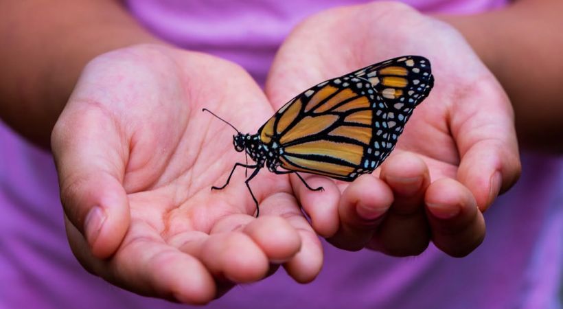 Mini-conférence au jardin pour la Paix